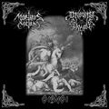 MORTUUS CAELUM/DIABOLICAL PRINCIPLES / split 7