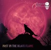 JAPANESE BAND/MANIPULATED SLAVES / Past in the Black Flame 