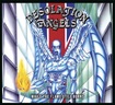 /DESOLATION ANGELS / While the Flame Still Burns (1990) (digi/2020 reissue)