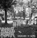 VENEREAL MESSIAH / Engraved in Gore (Áj []