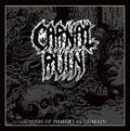 CARNAL RUIN / Gnosis Of Immortal Domain []