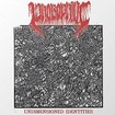 JAPANESE BAND/PHOBOPHILIC / Undimensioned Identities