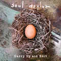 SOUL ASYLUM / Hurry Up and Wait (digi) []