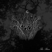 /ACCURED (スリランカ） / The Rain (digi)