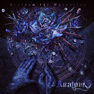 JAPANESE BAND/ANATOMY / Perform the Operation