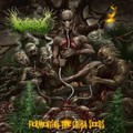GOREPOT / Fermenting the Chiba Seeds (2020 reissue) []