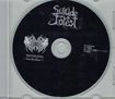 JAPANESE BAND/SUICIDE FOREST / borderline