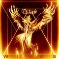 PICTURE / Wings (slip/2020 reissue) []