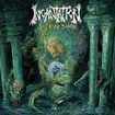 /INCANTATION / Sect of Vile Divinities
