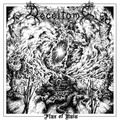 DECEITOME / Flux of Ruin []