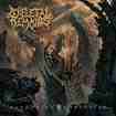 /SKELETAL REMAINS / Devouring Mortality