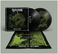 TERRORIZER / Before The Downfall (2LP+CD) (2020 reissue) []