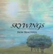 JAPANESE BAND/SKYWINGS / How Beautiful