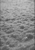 PAYSAGE D'HIVER / Schnee@iA5 black envelope) []