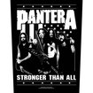 /PANTERA / Stronger than All (BP)