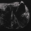 /DEMON HEAD / Viscera (digi)