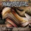 /PARACOCCI〜 / Aromatica Germenexcitacion En4〜（2021 reissue)
