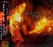 /STREAM OF PASSION / THE FLAME WITHIN (国内盤）