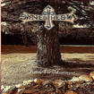 HEAVY METAL/SYNESTHESIA / Battle For Montsegur