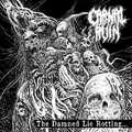 CARNAL RUIN / The Damned Lie Rotting []