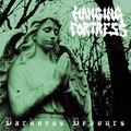 HANGING FORTRESS / Darkness Devours []