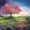 JAPANESE BAND/V.A / Metal Bless Japan 4 - Forever