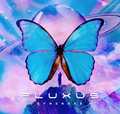 SYNSNAKE / Fluxus (3Ttj []