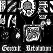 JAPANESE BAND/PERVERT OF ABILITY / Gorecult Revolution