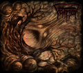 SCREAMS OF SUICIDE / Screams of Suicide (digi) []
