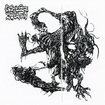 /GROTESQUE INFECTION / Grotesque Infection