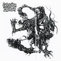 GROTESQUE INFECTION / Grotesque Infection []