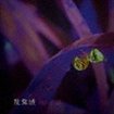 JAPANESE BAND/ALEISTER （京都） / カイロセイ　薤露誠