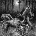 SZARY WILK / Wrath []