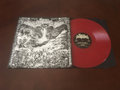 STEEL BEARING HAND / Slay In Hell (̓XbVIjiLP/Red vinylj []