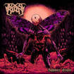 /TOXIC RAIN / Nightmare Eclipse 