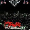 DOOM METAL/LION / Trouble In Angel City + Power Love (2020 Reissue)