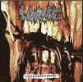 LARVAE / Vile Maggot Feast []