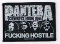 PANTERA / Fucking Hostile (SP) []