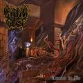 COFFIN CURSE / Ceased ti Be []