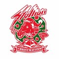 STALLION / Chritmatized (Slip) []