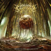 /CYSTECTOMY / Deprive to Hollowness