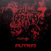 中古２/ACCURSED SPAWN / Putrid (中古)