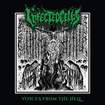 THRASH METAL/INFECTED CELLS / Voices from the Hell