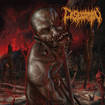 /DESECATION / Desecation