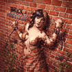 HEAVY METAL/BRICK MISTRESS / Anthology (2CD)