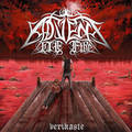 ADVENT OF FIRE / Verikaste (digi) []