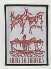 /DYING FETUS / Bath in Entrails (SP)