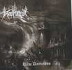 /ROOFOREST / Raw Darkness