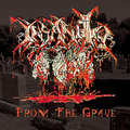 INSANITY / From the Grave []
