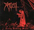ANCIENT / Eerily Howling Winds (digi) demoWI []